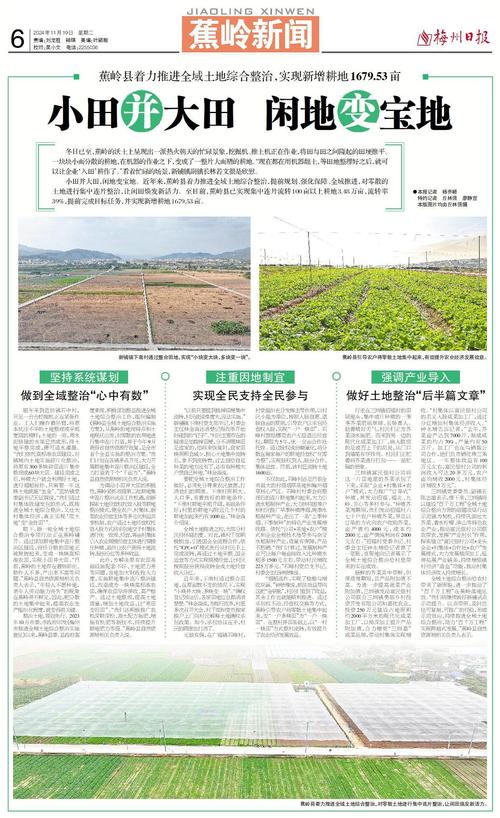 蕉岭企业网站,打造专业形象，助力企业腾飞 蕉岭企业网站,打造专业形象，助力企业腾飞 植物种类