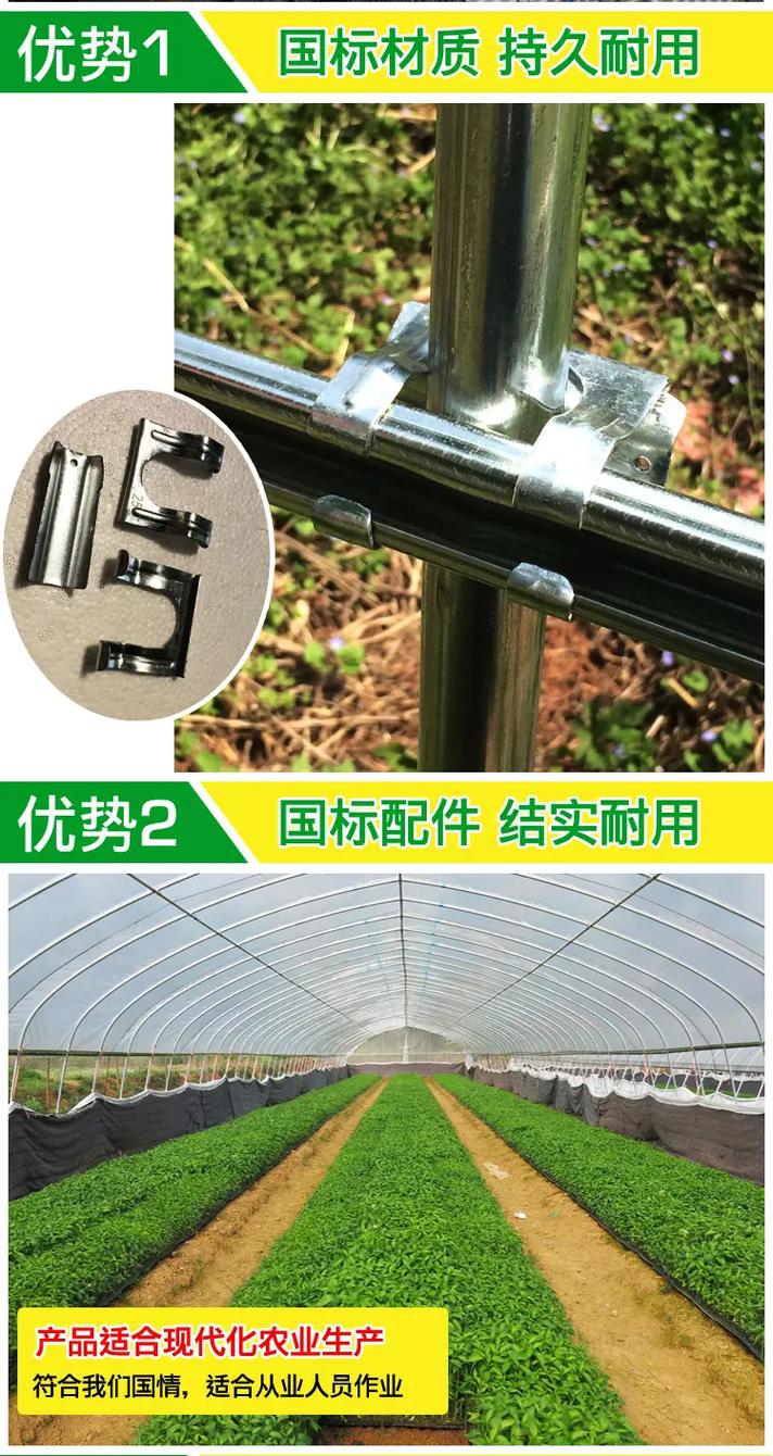 大棚蔬菜全套种植技术大棚蔬菜怎样种植_蔬菜种苗种植技巧与方法视频 大棚蔬菜全套种植技术大棚蔬菜怎样种植_蔬菜种苗种植技巧与方法视频 农业常识