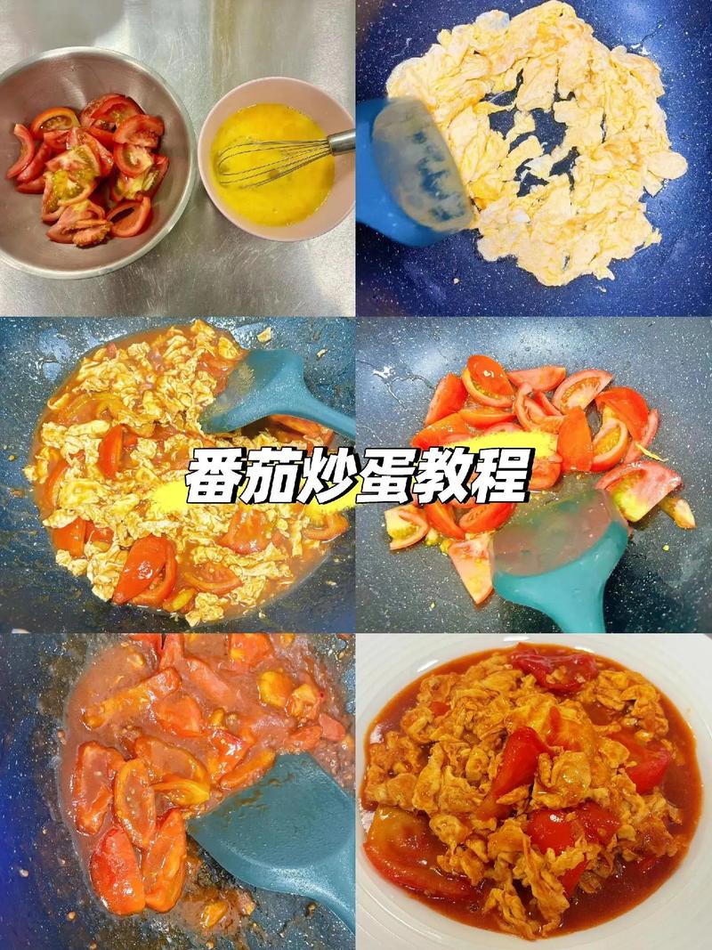 西红柿鸡蛋怎么炒才能干而不散，没有过量的水_番茄怎么吊着种植视频教程 西红柿鸡蛋怎么炒才能干而不散，没有过量的水_番茄怎么吊着种植视频教程 植物种类