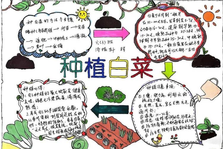 十个蔬菜种植的小妙招_蔬菜种植小技巧文字描述 十个蔬菜种植的小妙招_蔬菜种植小技巧文字描述 农业常识