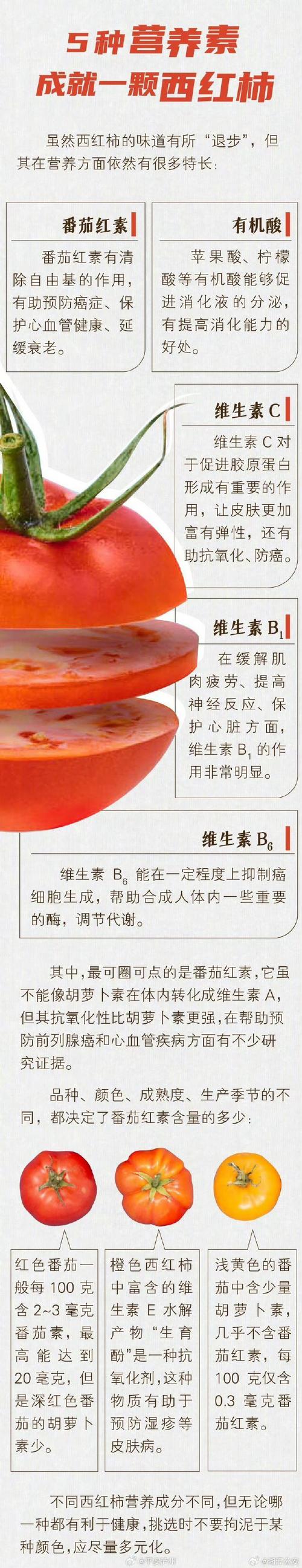 一块地可以连种几年西红柿_同城番茄种植怎么样啊 一块地可以连种几年西红柿_同城番茄种植怎么样啊 番茄种植技巧