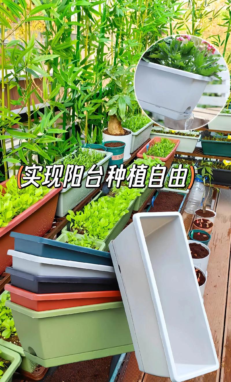 瓦花盆怎么种菜_ 瓦花盆怎么种菜_ 番茄种植技巧