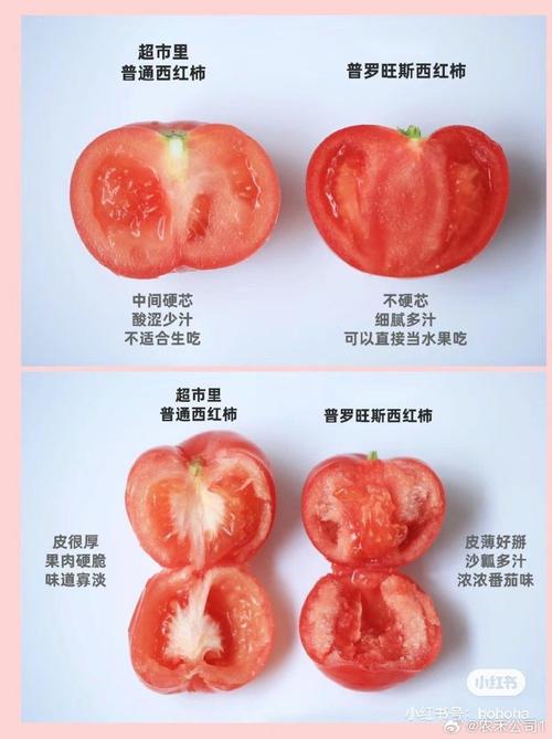西红柿和番茄有什么区别_西红柿是番茄吗怎么种植的 西红柿和番茄有什么区别_西红柿是番茄吗怎么种植的 土壤施肥