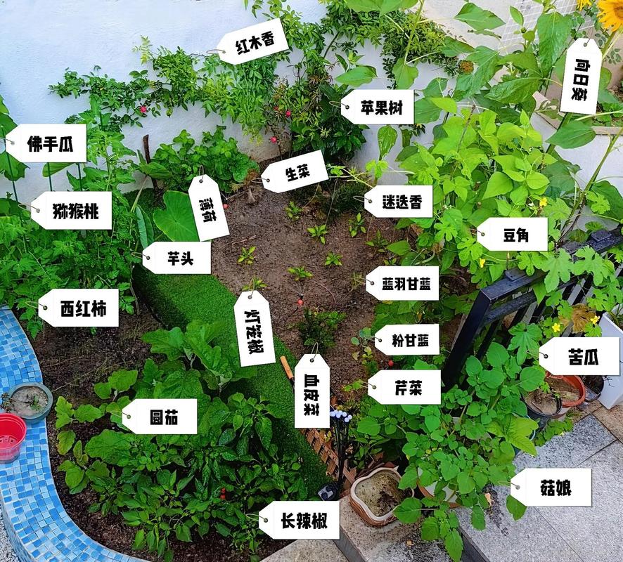 有机农场每亩地需要几个工人？该怎么规划才好呢_小农场蔬菜种植技巧图片大全 有机农场每亩地需要几个工人？该怎么规划才好呢_小农场蔬菜种植技巧图片大全 番茄病虫害防治