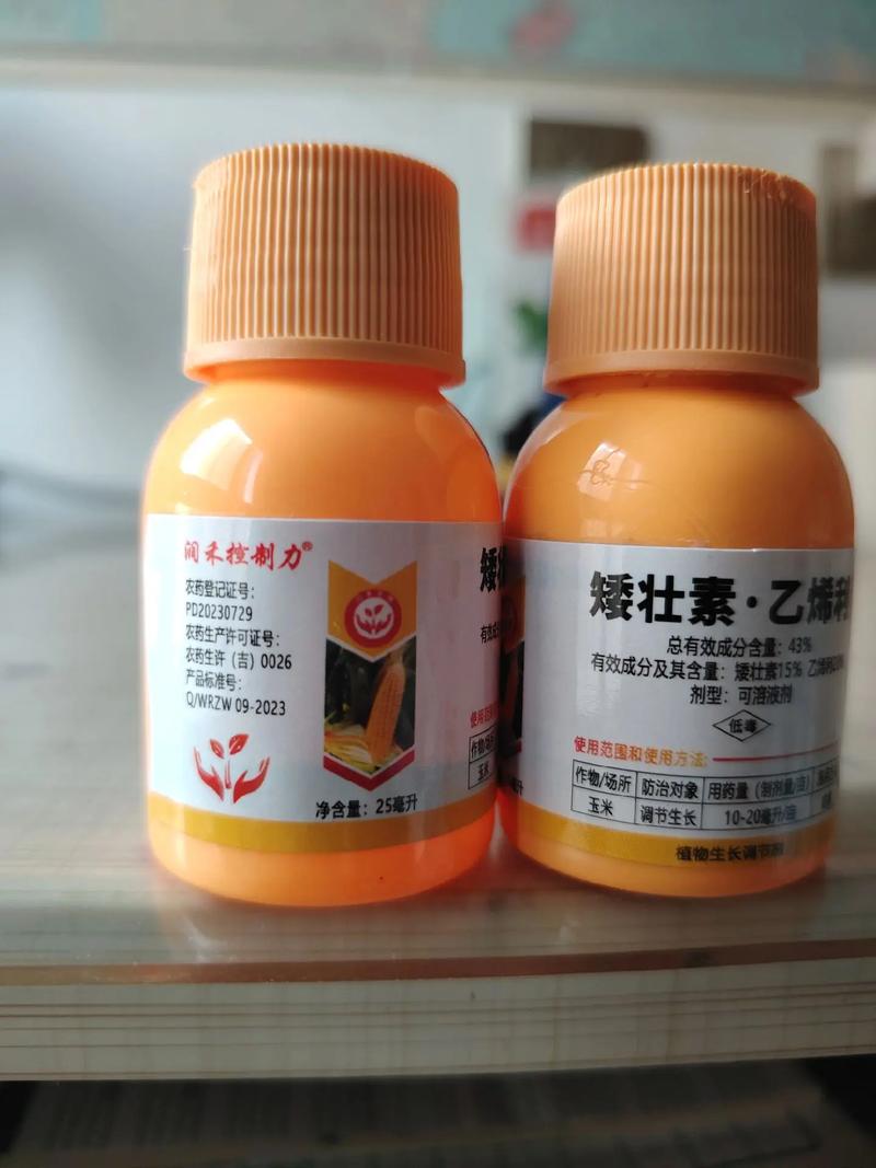 矮壮素和爆芽素一起喷可以吗_番茄怎么种植爆芽快 矮壮素和爆芽素一起喷可以吗_番茄怎么种植爆芽快 植物种类