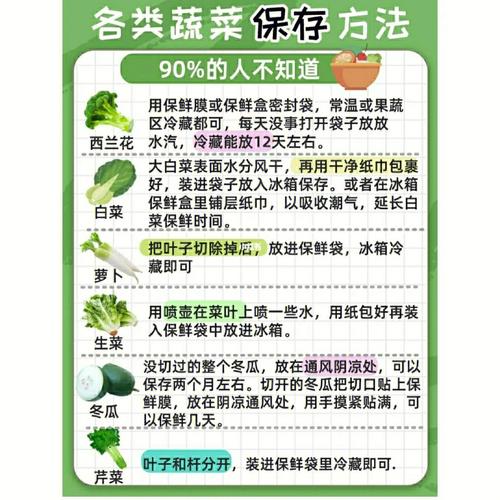绿叶菜焯水保持翠绿的方法_绿叶蔬菜种植技巧和方法 绿叶菜焯水保持翠绿的方法_绿叶蔬菜种植技巧和方法 番茄种植技巧